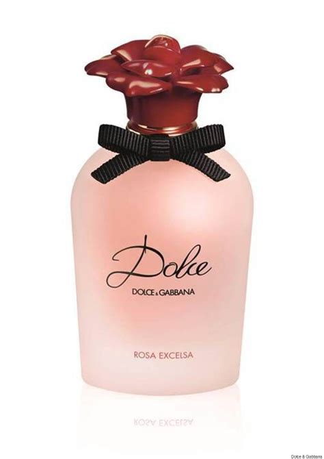 zebra parfum dolce gabbana|Dolce & Gabbana perfume for women.